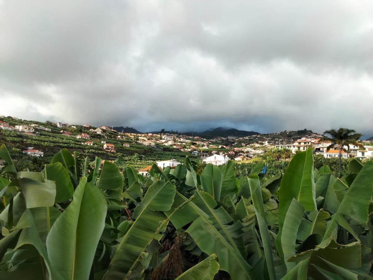 Sara House Apartment Ponta do Sol  Exterior photo